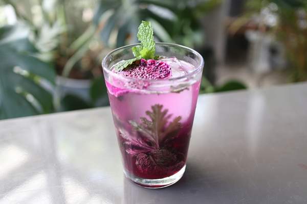 Taipei | The Forest Studio | Food and Agriculture Education Dragon Fruit/Pineapple (Herb Fruit Wine) DIY | Flower & Fruit Tea DIY